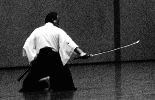 Iaido Sword Draw: Iaido is a Japanese martial art that focuses on very fast, decisive action, namely the intercepting or blocking and counterattacking an assailant with one motion, all done seamlessly following the drawing of the sword.