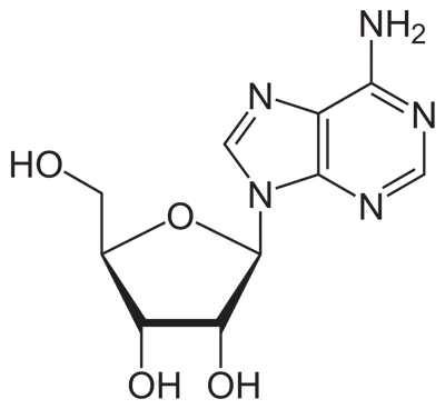 adenosine molecule