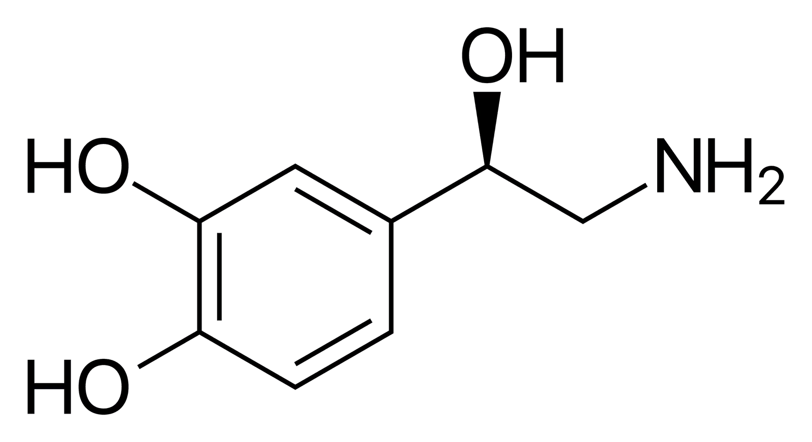 Norepinephrine, a neuromodulator
